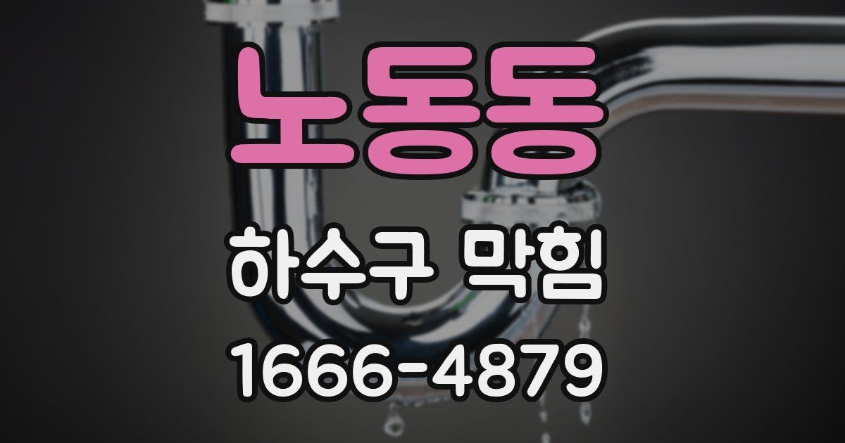 노동동 하수구 막힘