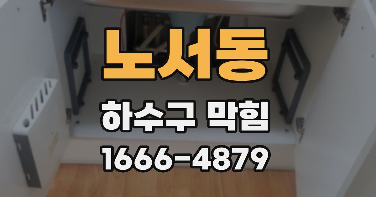 노서동 하수구 막힘