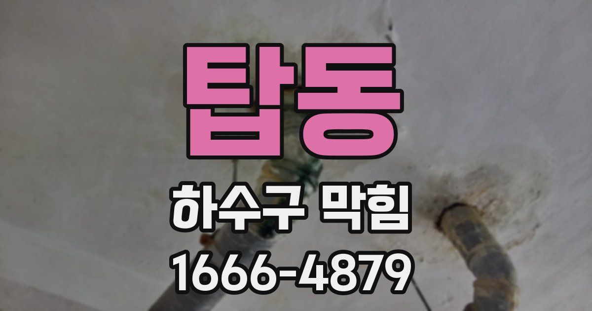 탑동 하수구 막힘