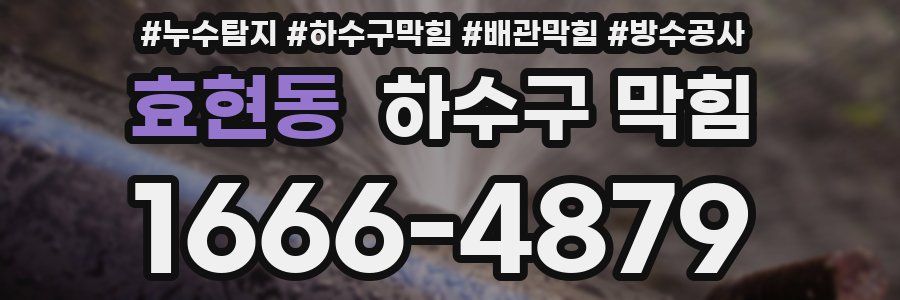 효현동 하수구 막힘
