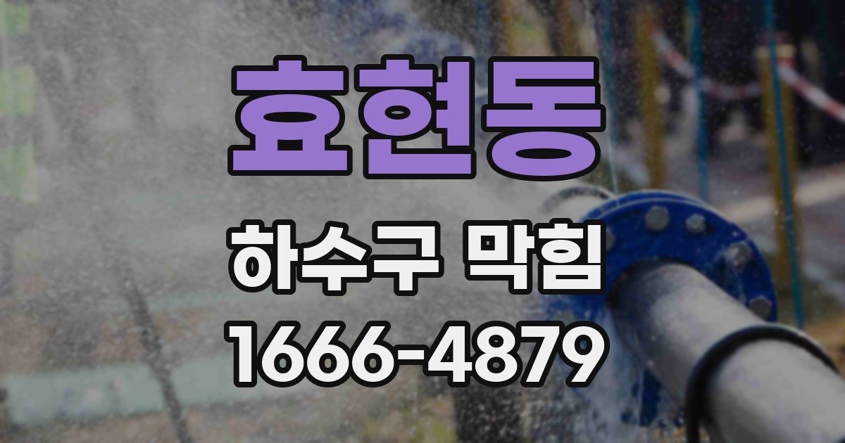 효현동 하수구 막힘