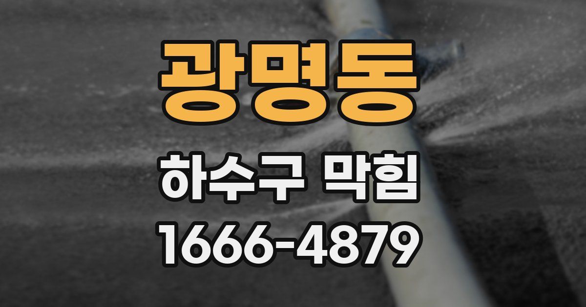 광명동 하수구 막힘