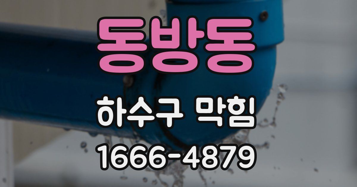 동방동 하수구 막힘