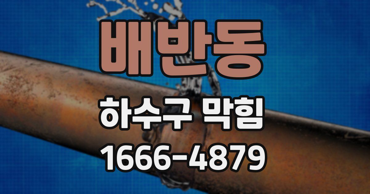 배반동 하수구 막힘