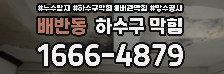 배반동 하수구 막힘