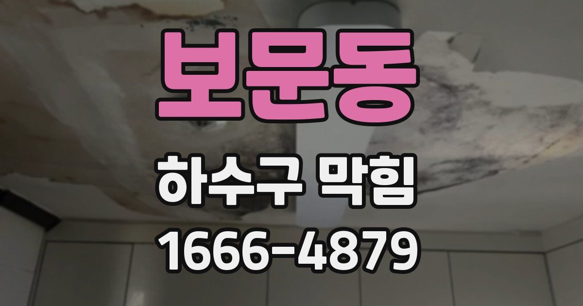 보문동 하수구 막힘