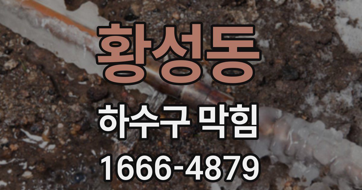 황성동 하수구 막힘