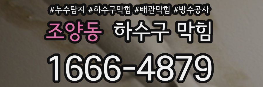 조양동 하수구 막힘