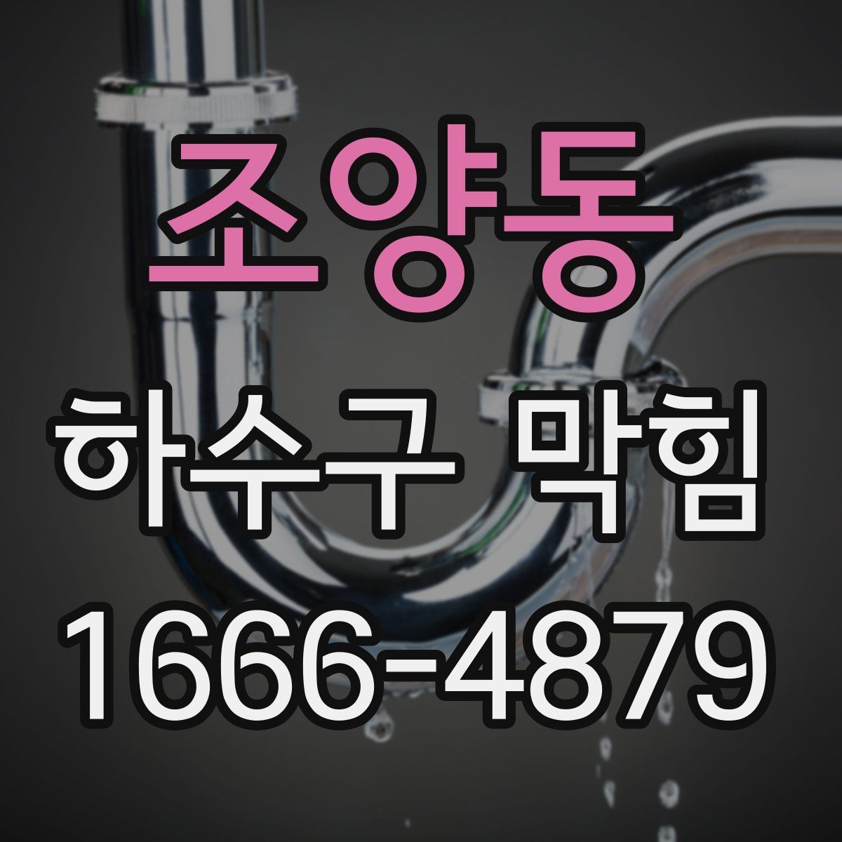조양동 하수구 막힘