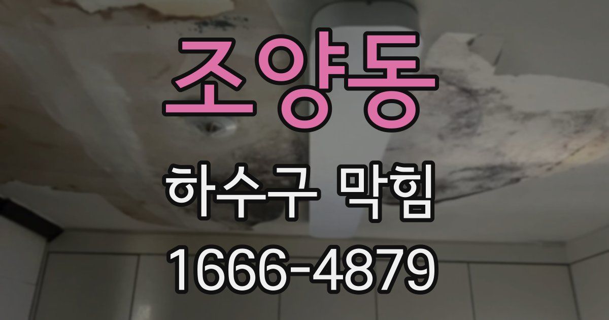 조양동 하수구 막힘