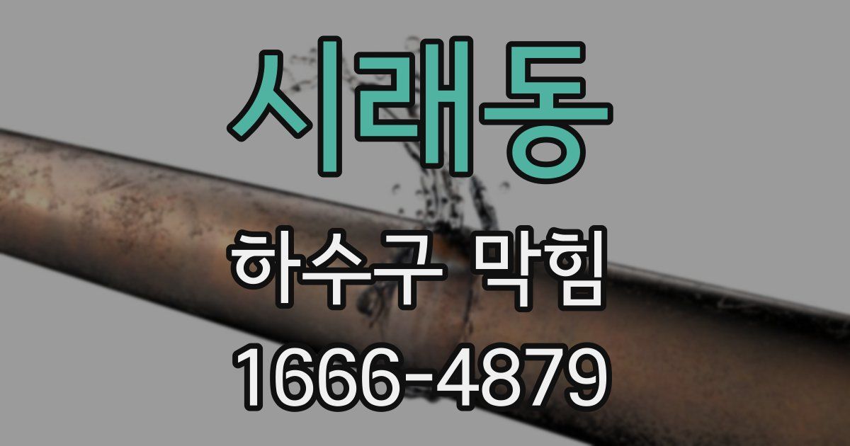 시래동 하수구 막힘