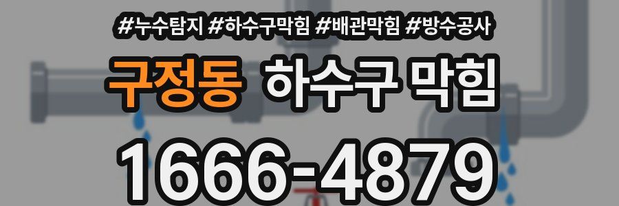 구정동 하수구 막힘