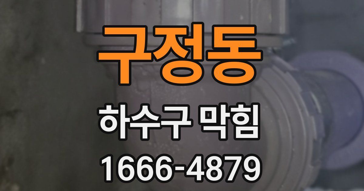 구정동 하수구 막힘