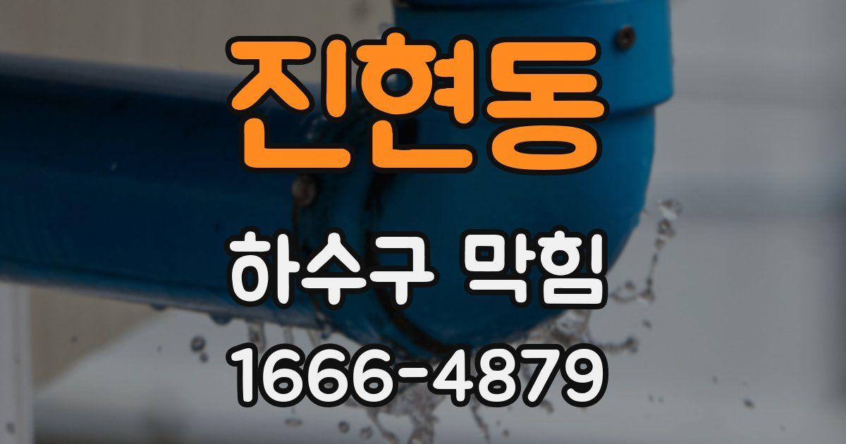 진현동 하수구 막힘