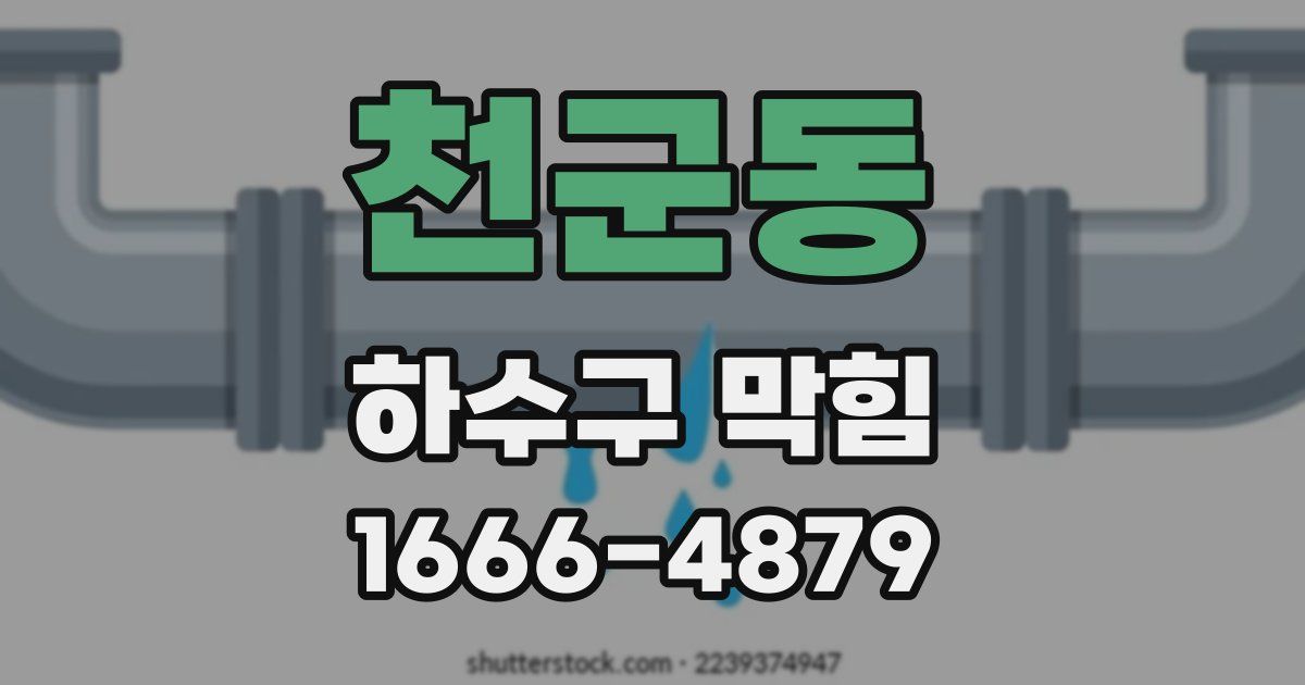 천군동 하수구 막힘