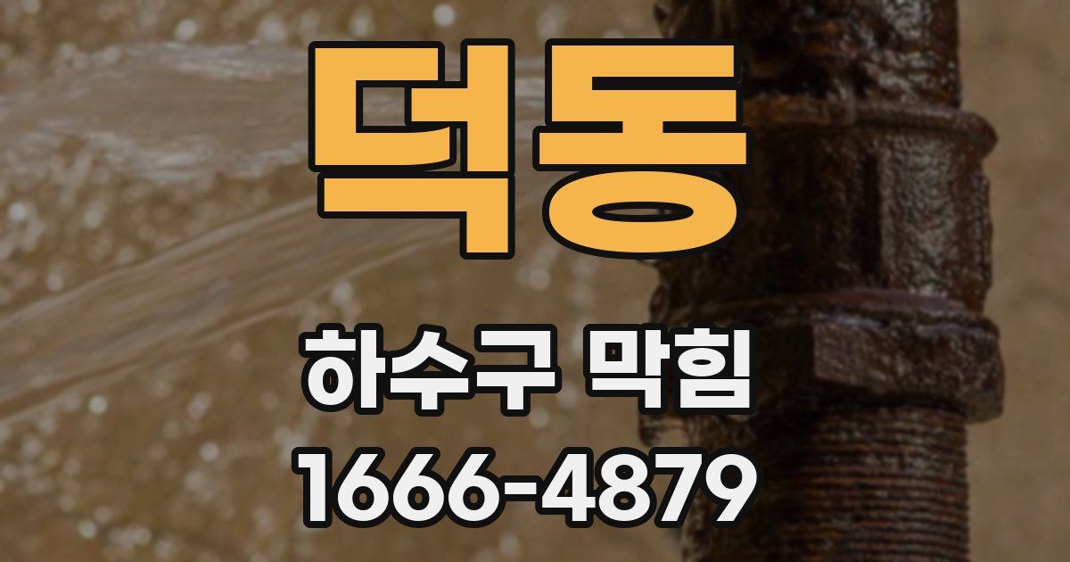 덕동 하수구 막힘