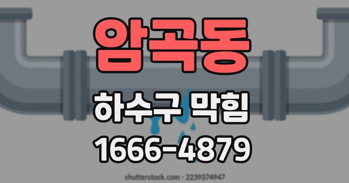 암곡동 하수구 막힘