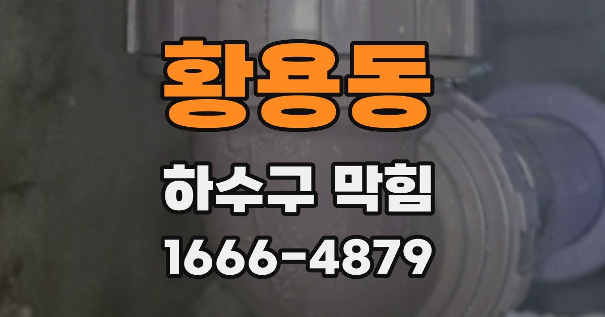 황용동 하수구 막힘