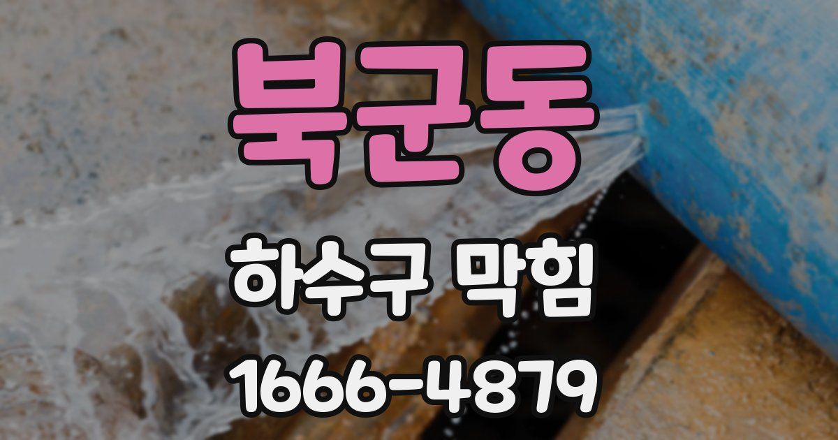 북군동 하수구 막힘