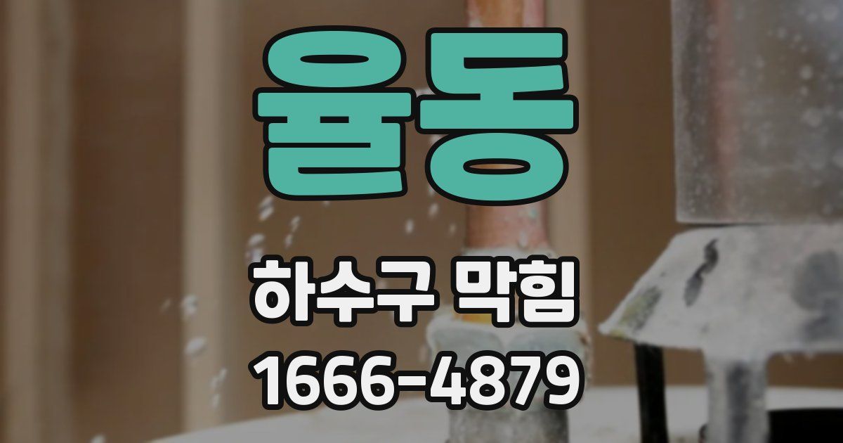 율동 하수구 막힘