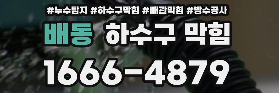 배동 하수구 막힘