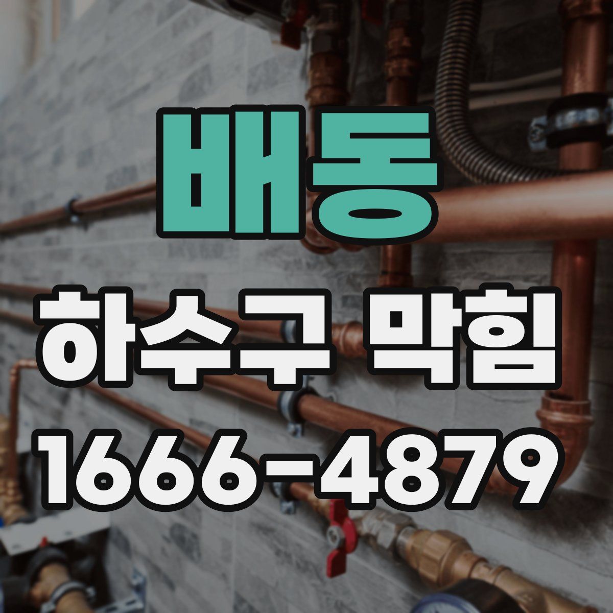 배동 하수구 막힘