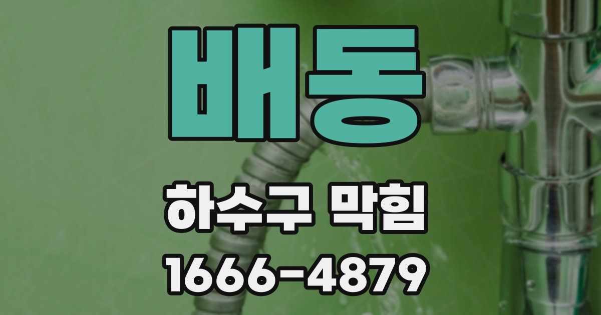 배동 하수구 막힘