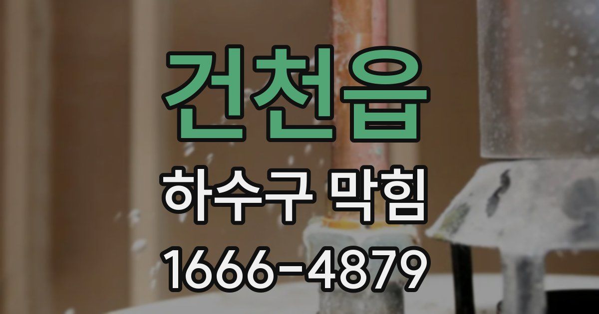 건천읍 하수구 막힘