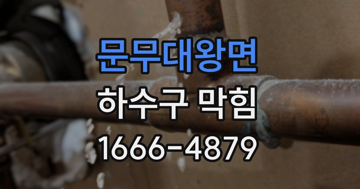 문무대왕면 하수구 막힘