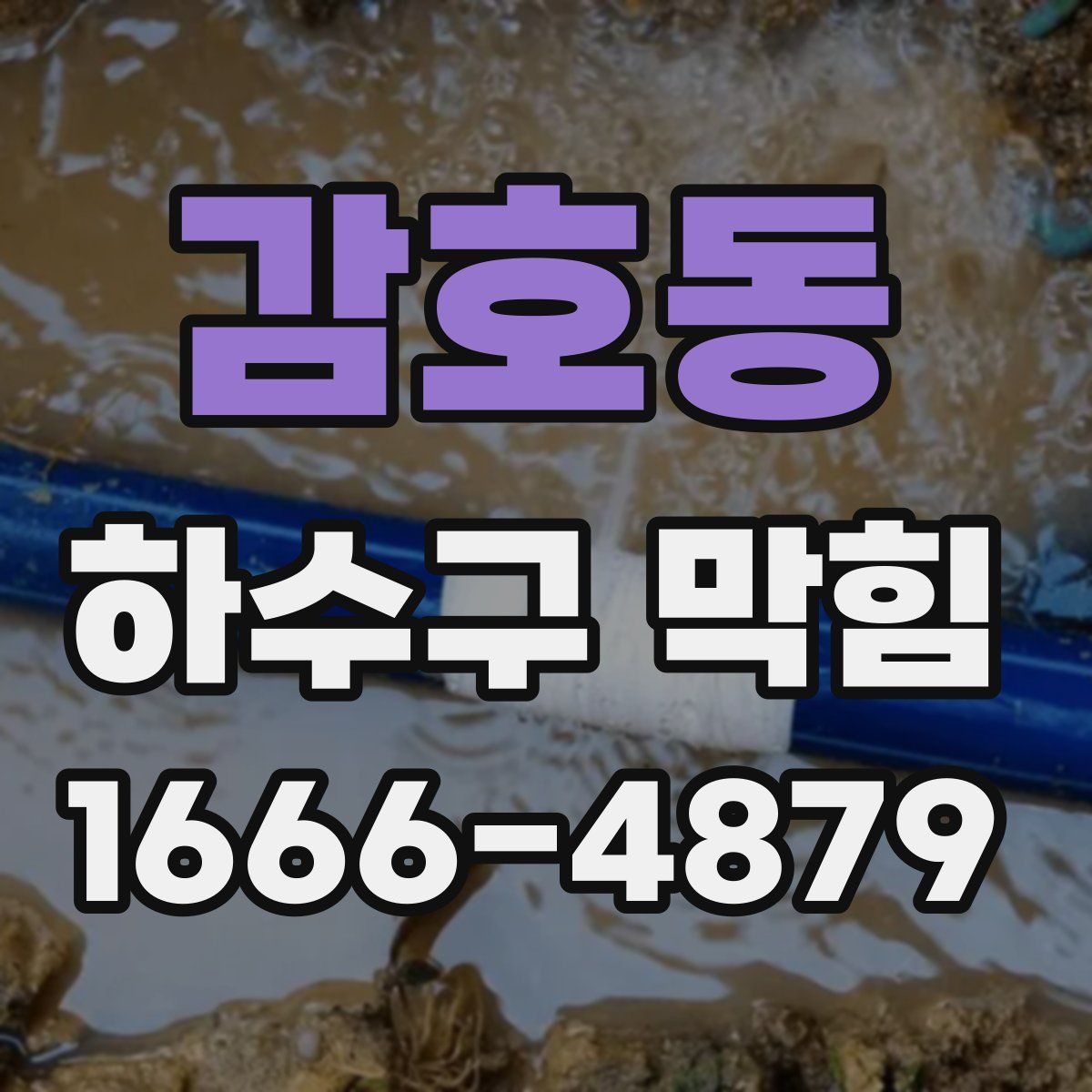 감호동 하수구 막힘
