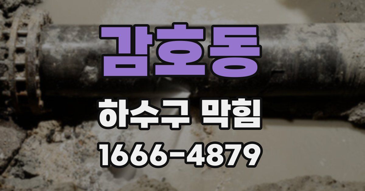 감호동 하수구 막힘