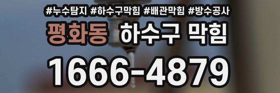 평화동 하수구 막힘