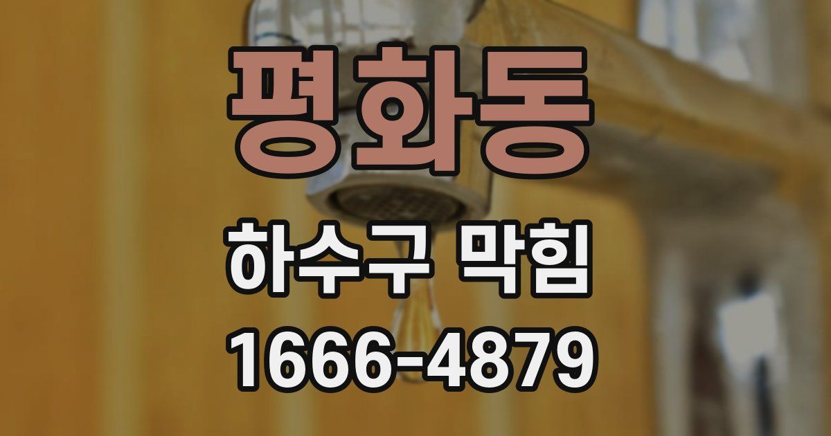 평화동 하수구 막힘