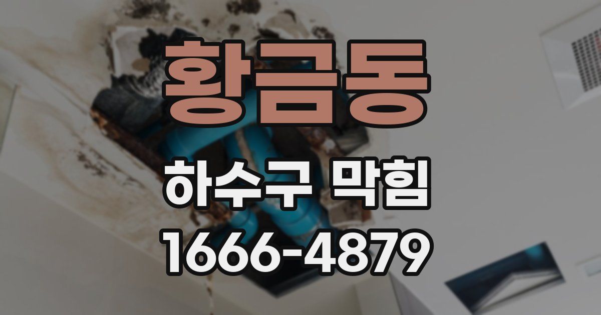 황금동 하수구 막힘