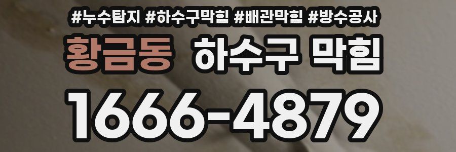 황금동 하수구 막힘