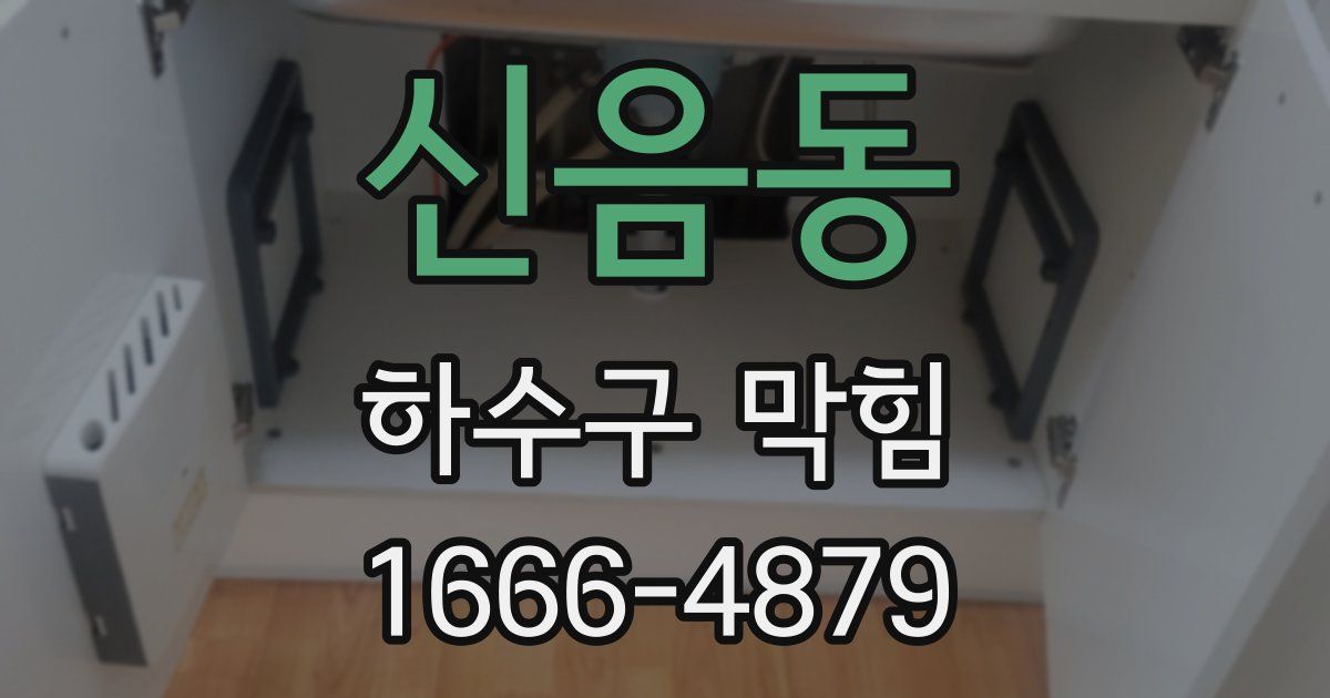 신음동 하수구 막힘