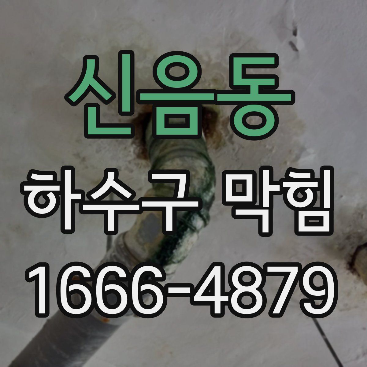 신음동 하수구 막힘