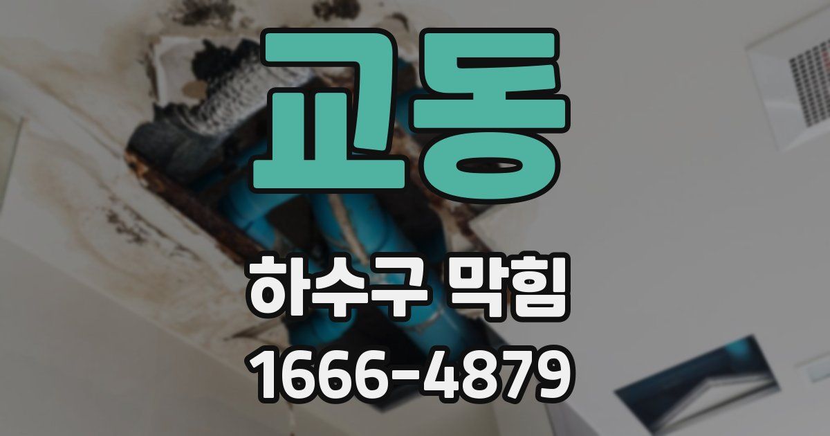 교동 하수구 막힘