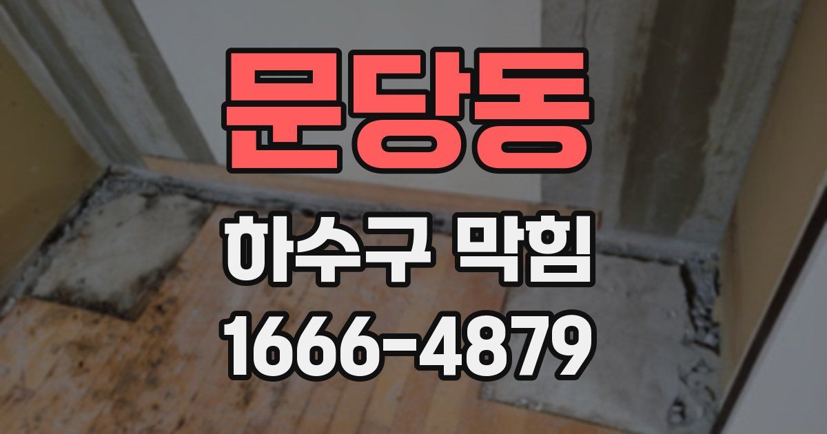 문당동 하수구 막힘