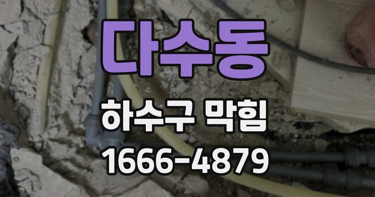 다수동 하수구 막힘