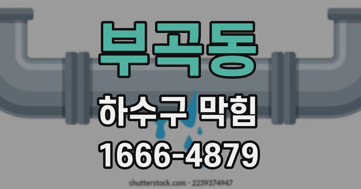 부곡동 하수구 막힘