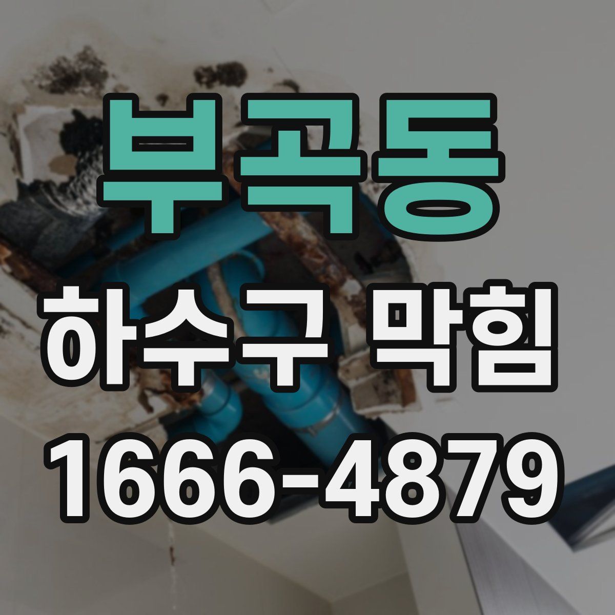 부곡동 하수구 막힘
