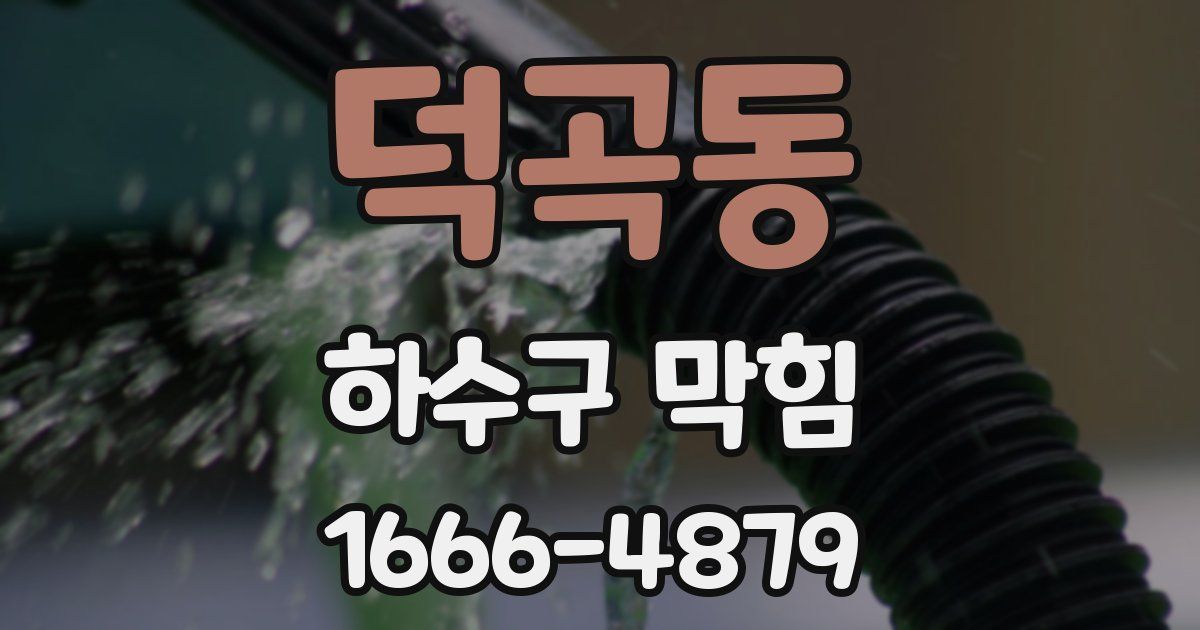 덕곡동 하수구 막힘