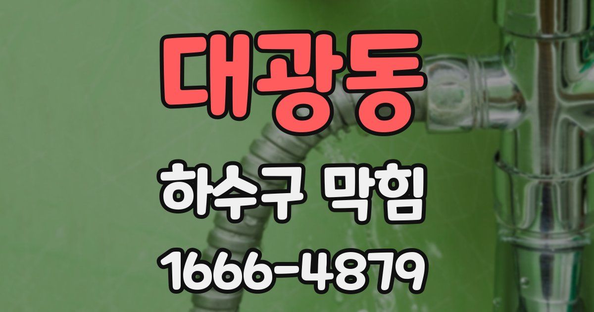대광동 하수구 막힘