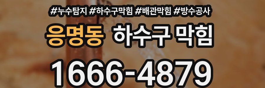 응명동 하수구 막힘