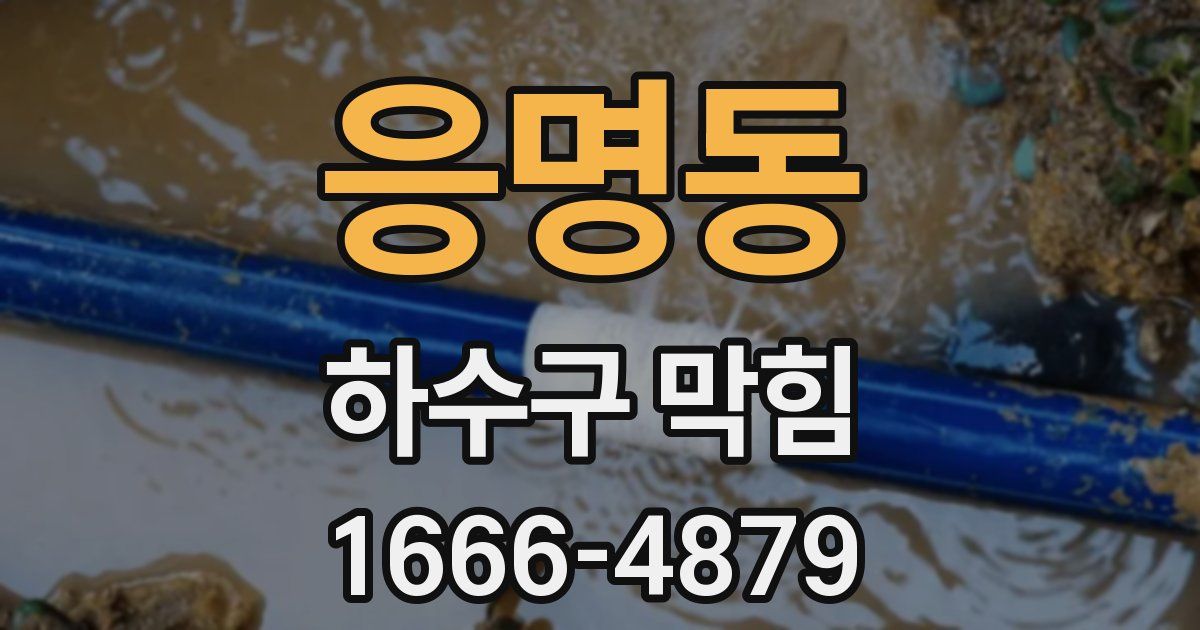 응명동 하수구 막힘