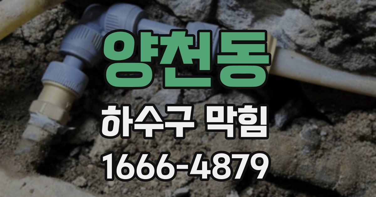 양천동 하수구 막힘