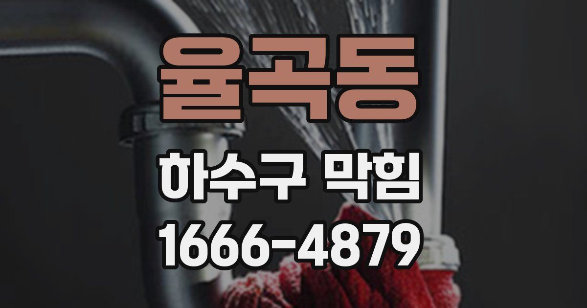 율곡동 하수구 막힘
