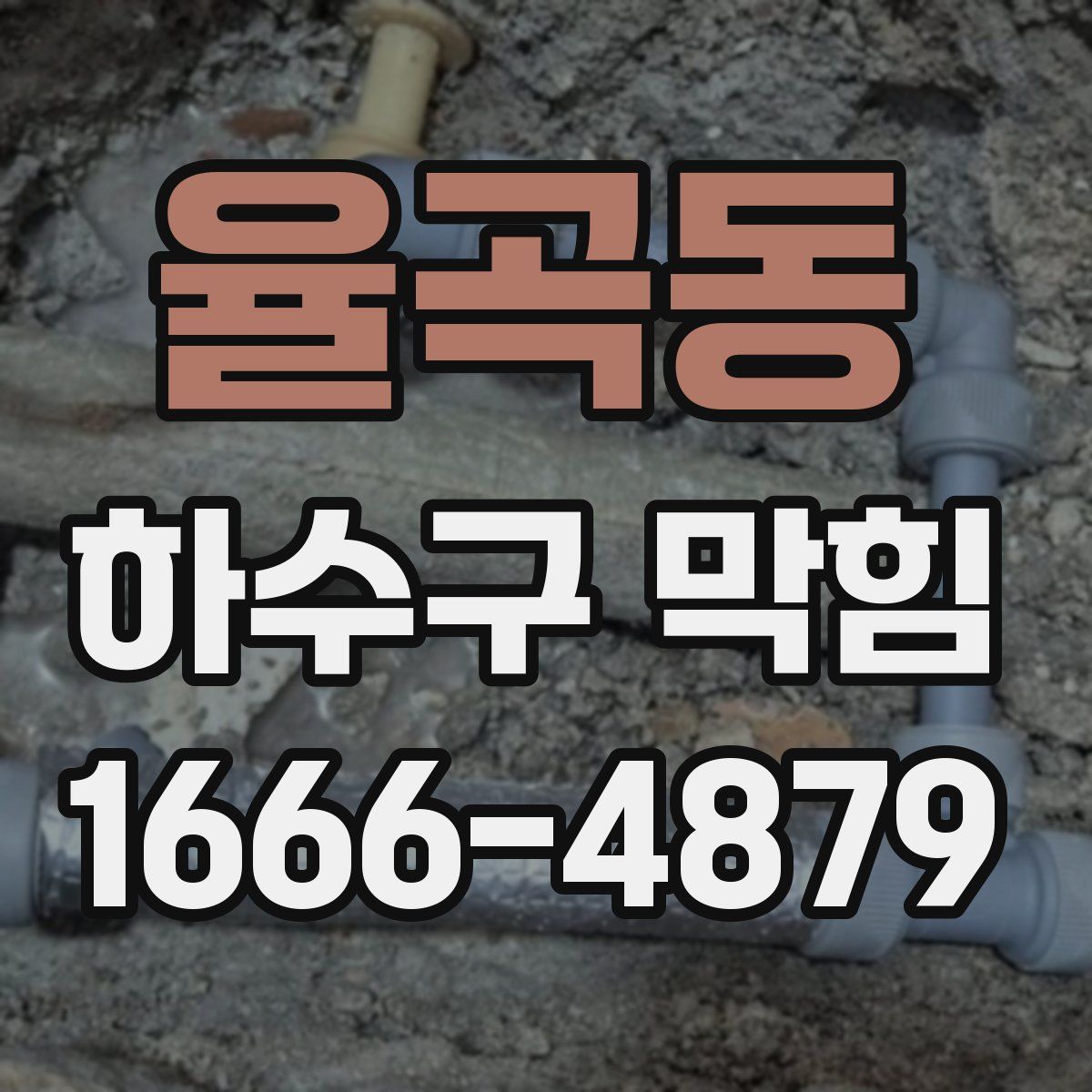 율곡동 하수구 막힘