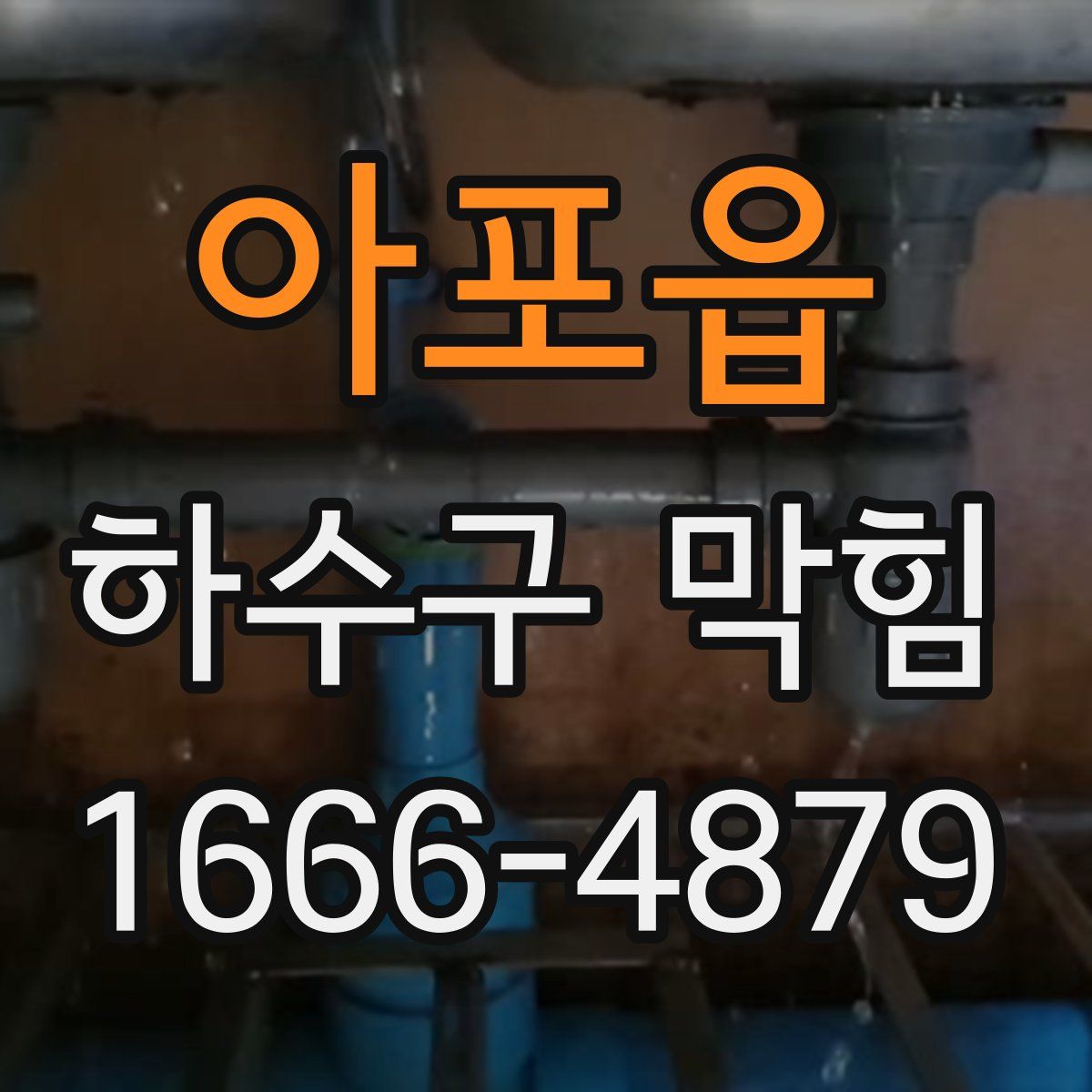 아포읍 하수구 막힘